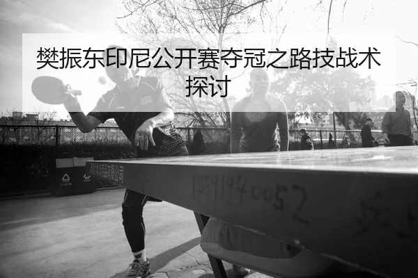 樊振东印尼公开赛夺冠之路技战术探讨